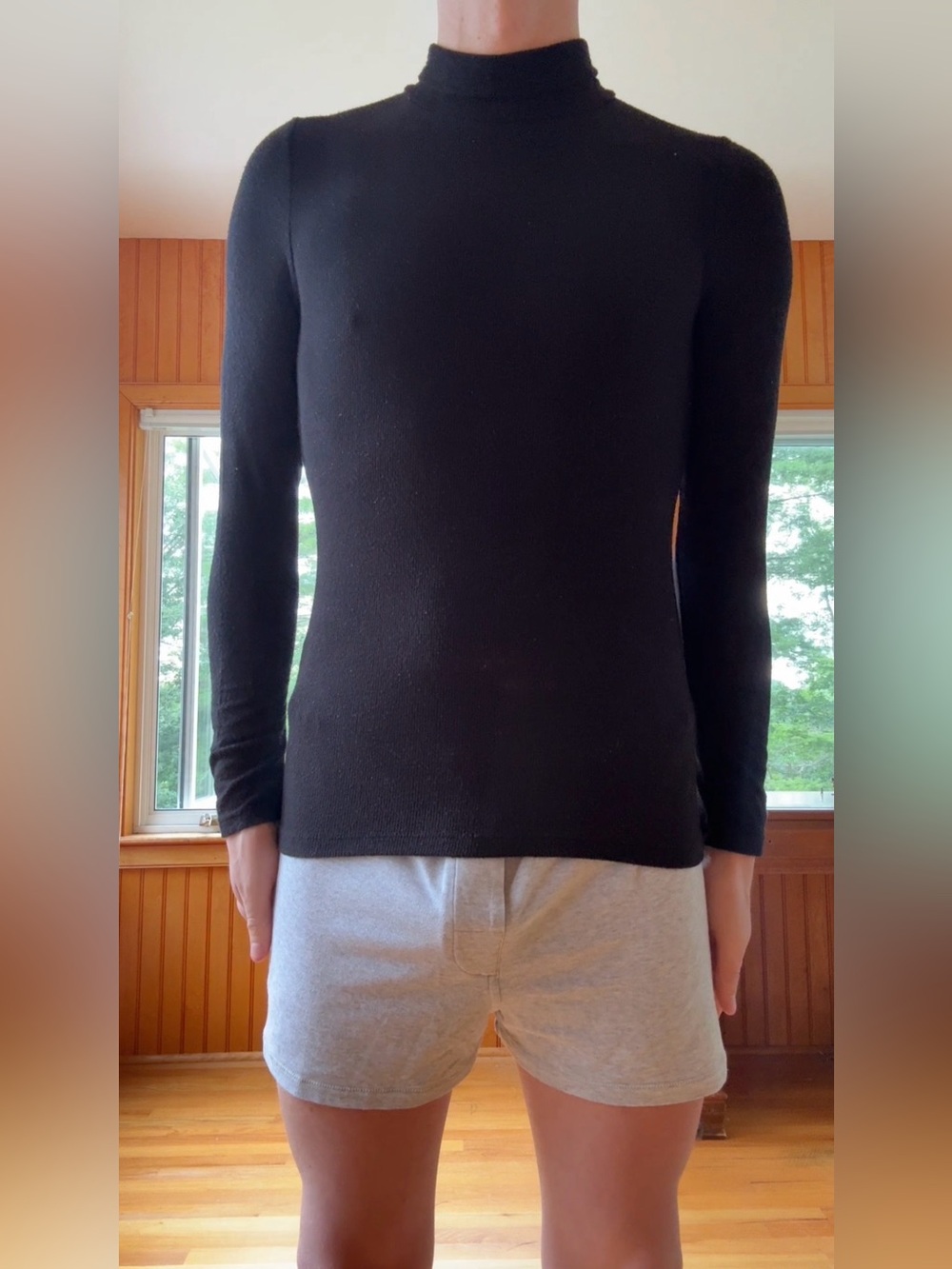 Aritzia Cotton Ribbed Turtleneck